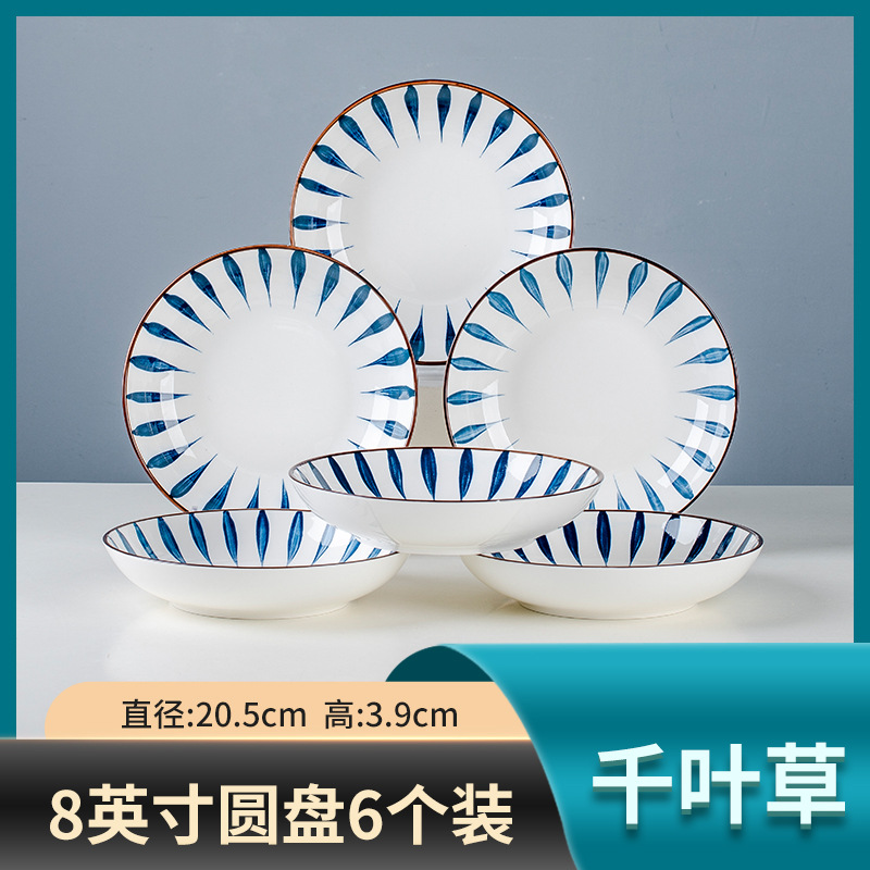 8 인치 지바 디스크 6