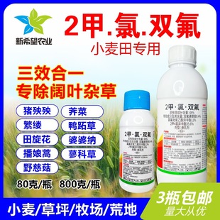 2�����p����Ч��һ ���i���귱�|�j�� С�����ݲ�ƺ���݄��rș800