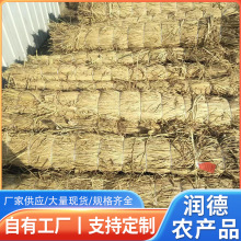 �F·�\ݔ��֧�| �l�β݉|������܉����֧�|�ܲ��\ݔ��֧�|����