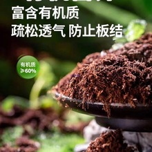 �I�B����Ȼ�����Nֲ������������ͨ���M��Ҭ�u�������|�B����