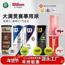 wilso威尔S网球法网美网比赛训练球威尔逊练习球胶罐网球3宇天