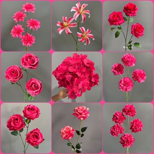 ��cõ�tɫϵ���滨�Ļ�Y�õ�픻�ˇ·�����Ų廨�����bٻ���