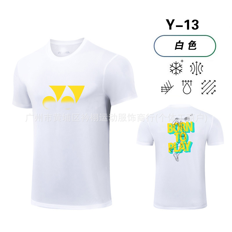 Y13