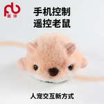 裴伴遥控毛绒老鼠人宠互动手机控制充电猫咪宠物玩具自嗨解闷神器