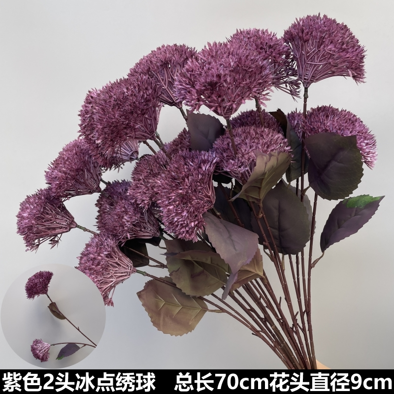 투명한 보라색 2개의 머리가 있는 어는점 수국