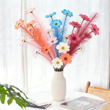 �����JȔ��ɣ��С�r�ղ�֦��ʾռٻ����߈@ˇ�ҾӔ[���廨�b�