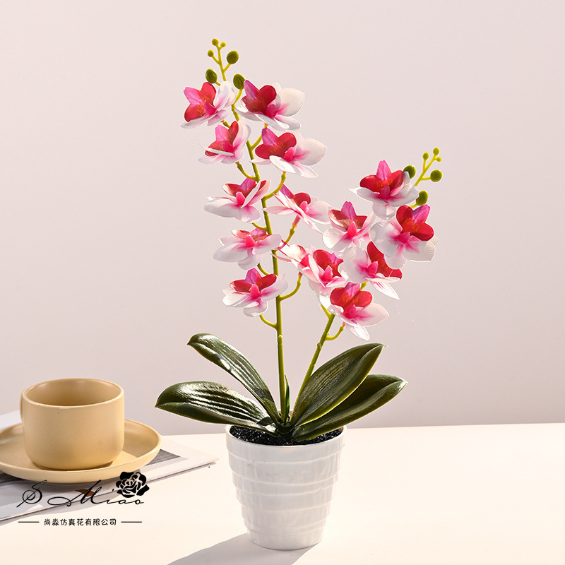 15 flores Phalaenopsis bonsai flor artificial moda creativa decoración de flores decoración artificial planta verde simulación pequeña en maceta image 3