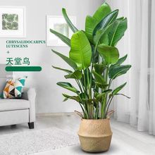 �؃r�����B���;Gֲ�W�tֲ�ﱱ�W�҃ȿ͏d�k���Ҵ����ԃ����՚�