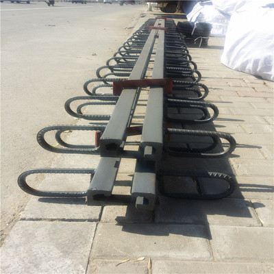 重庆安装建筑伸缩缝旧桥现场更换安装施工桥梁公路变形缝毛肋缝