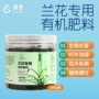 绿叶植物君子兰花苞有机肥