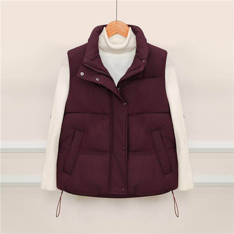 Chaleco de plumón de algodón para mujeres en el otoño y invierno de 2025 nuevo estilo coreano suelto y grueso chaleco de abrazadera sin mangas