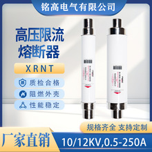 12KV高压熔断器XRNT1-12KV/3.15A-40A高分断能力熔断器熔管保险管