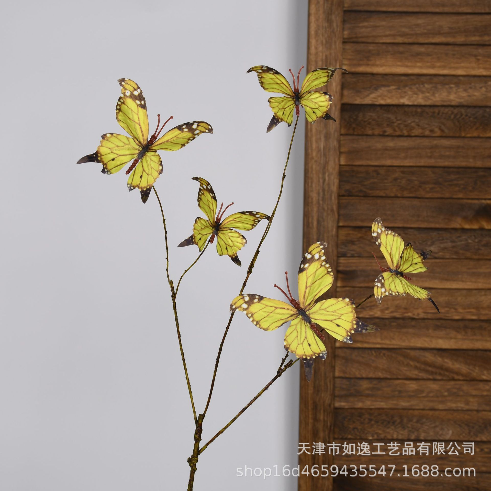 107-호랑나비-5머리