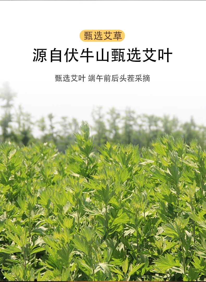 Moxa Sticks Ai Tiao 艾条 Artemisia argyi Mugwort Rolls for Moxibustion and Aromatherapy 50 Pack with Stainless Steel Base quality and texture
