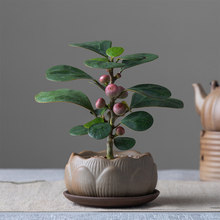 С����������ֲ���҃��k���ҾGֲ�������B����ʽ�U�������辰�[��