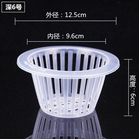 植木鉢植栽バスケット 水耕植物ガラス花瓶 グリーンソーン植栽バスケット 無土壌栽培花 浅型根固定剤|undefined