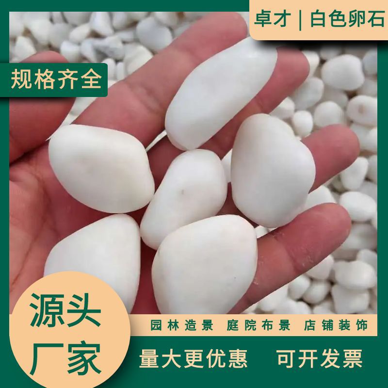 白色石子庭院铺路园林造景店铺装修用白色鹅卵石盆栽铺面白色碎石