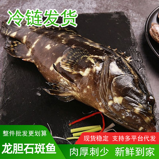 ������đʯ���~�����~�ϻ�����đ���O�ϻ��ߺ��r����~�