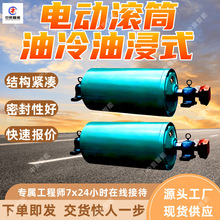 YZ油冷油浸式电动滚筒 支持订购 安装方便油冷油浸式电动滚筒