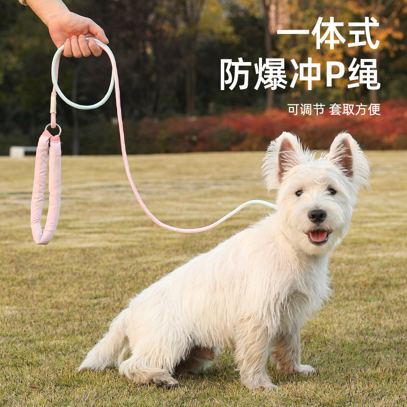 Cuerda para perros a prueba de explosiones, cadena P, correa para pasear perros, cadena para perros, cadena para perros medianos y grandes, cuerda para perros a prueba de explosiones, cuerda para perros