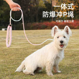 狗狗绳子防爆冲P链遛狗牵引绳防挣脱狗链子中大型犬防爆冲拴狗绳