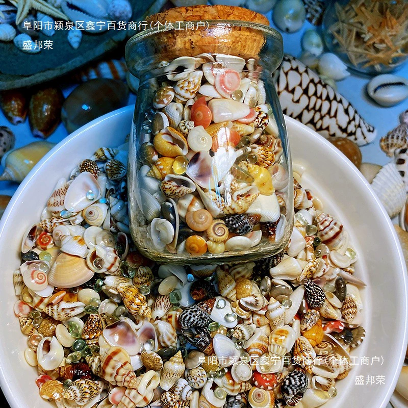 Бесплатная доставка для 6 типов маленьких ракушек и раковин + комбинация стеклянного песка, около 400 штук, коллекционные образцы и другие.