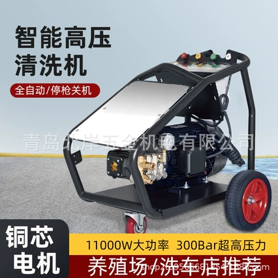 Car washing machine washer car wash shop 380v industrial