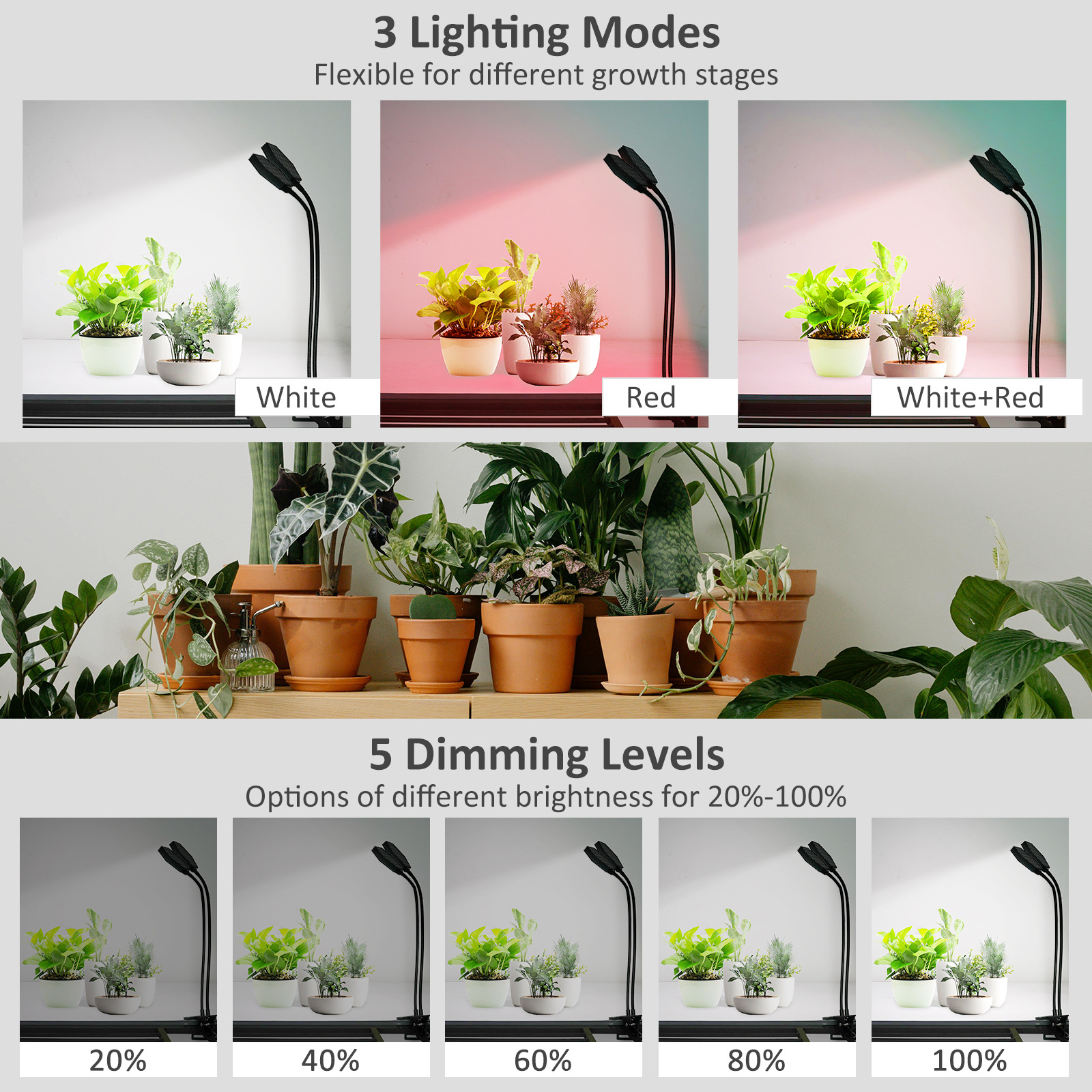 20WLED��ɫ�쾱��ͷ����ֲ��ƿɵ��ⶨʱ֧�ֶ����������