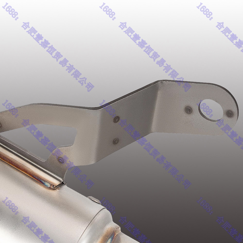 Bmw S1000Rr Scorpion Gp Exhaust 2019~2026 Bmw S1000Rr Scorpion Gp Canister Exhaust