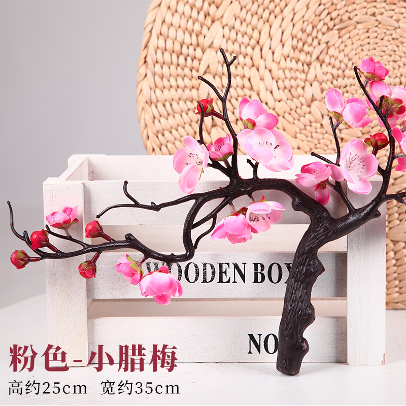 핑크 분재 윈터스윗