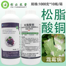 �������� 20%��֬���~����������˪ù����������֬���~�rș