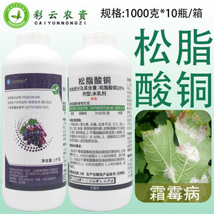 �������� 20%��֬���~����������˪ù����������֬���~�rș