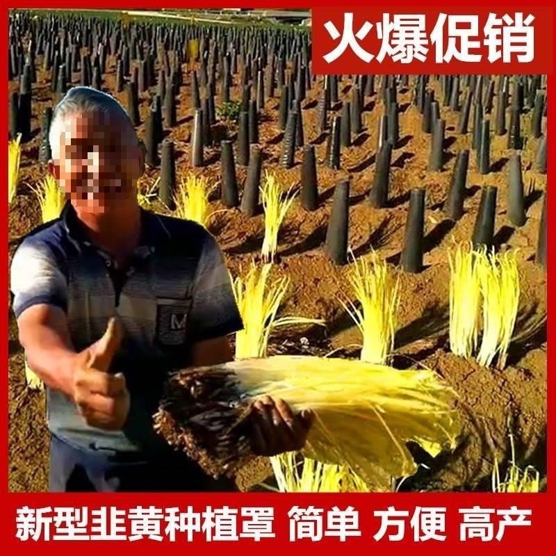 韭菜避庶遮阳盖黑光桶套种植的筒韭黄罩子帽子防晒照上面蒜黄