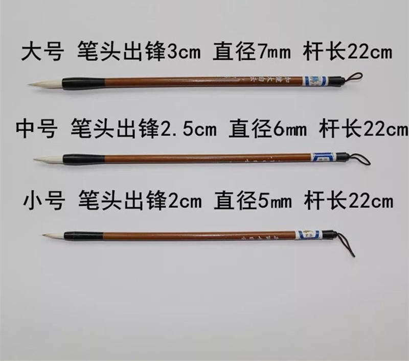 IMG_2969(20210817-143416)_副本