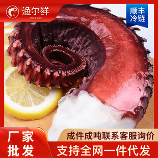 ���o�������~�㡿������~횰�צ�~���r�������~����؟o������