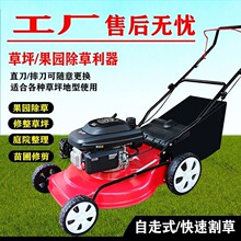 汽油20寸自走式草坪机 4冲程手推割草机  操场高尔夫球场修草机
