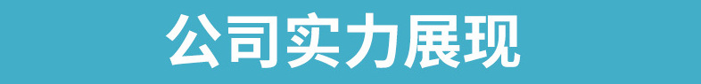 公司实力展现模板1