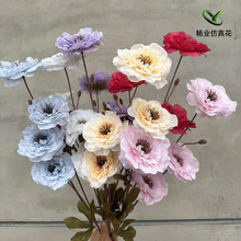 ���滨4�^ǧ��ĵ��¶ɏ��ĵ����șɏ�Q��c��Y�üٻ�ǧ��ĵ����
