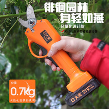 2020�¿���늄���֦�����ʽ��֦��@ˇ��������֦���W�ޘ�׼