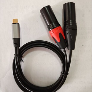TYPE C�D�p���z���l��C�D���z���l������푼�����TYPE C�DXLR