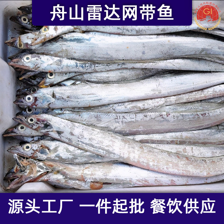 舟山带鱼整条正宗野生带鱼整箱年货新鲜冷冻水产东海刀鱼厂家批发
