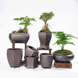 紫砂兰花蝴蝶兰花盆粗陶绿植物盆栽大号陶瓷盆多肉创意批发容器花