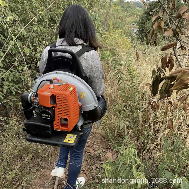 背负式手持式实用型严冬积雪除雪机  道路清洁汽油吹风机