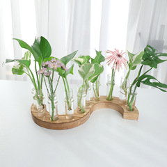 实木一排试管花瓶家居花艺水培花瓶植物插花装饰摆件网红玻璃花瓶