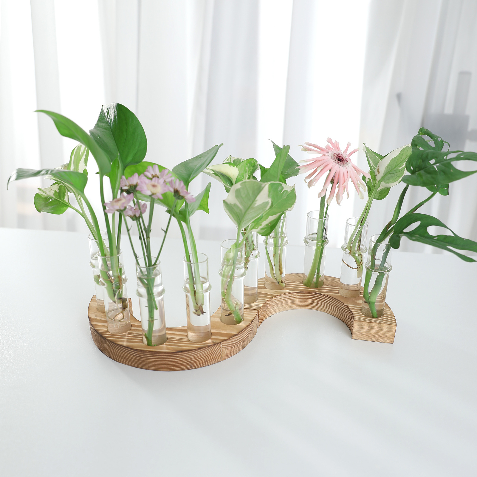 Una fila de jarrones de tubo de ensayo de madera maciza, jarrones de flores domésticas, jarrones hidropónicos, arreglos florales, adornos decorativos, jarrones de vidrio rojo de red
