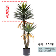 ���ͷ��愦����Ѫ�������m�٘�Gֲֲ�������҃ȿ͏d�쾰�b[��