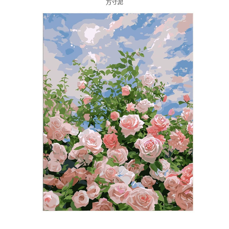 DIY numeric oil painting rose coloring hand-painted simple floral living room decoration wall hanging factory wholesale