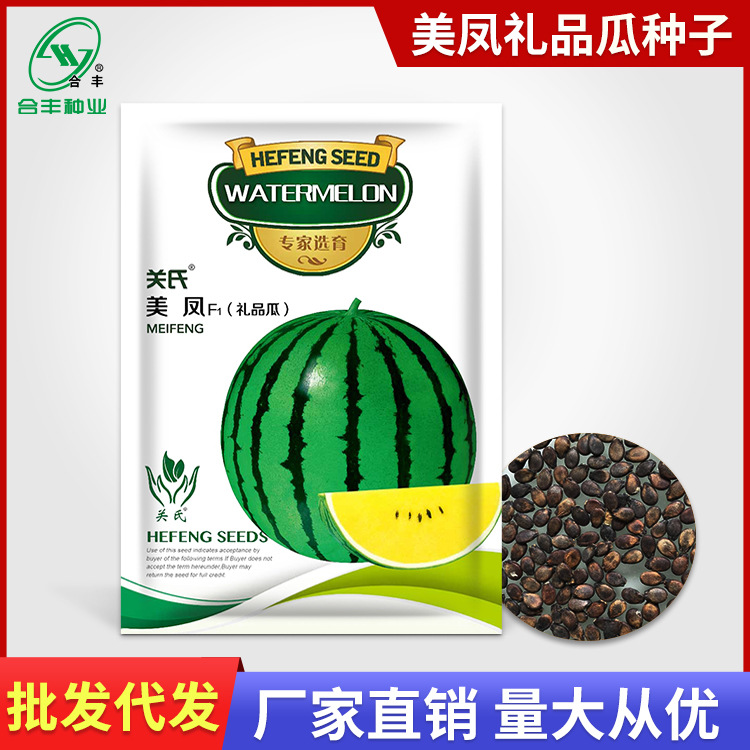 美凤西瓜种子 礼品型西瓜种籽合丰优质绿皮黄壤早春小西瓜10粒装