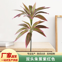 �¿��p�^�콶�ϼtɫ����ֲ��PE���|��ֱ�OӋ����������쾰�b�