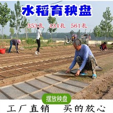 ˮ�������P�������C�����P�֒����w��353�����Nֲ��561����434